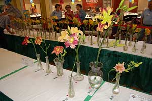 C1---LSDS-08-Flower-Show---