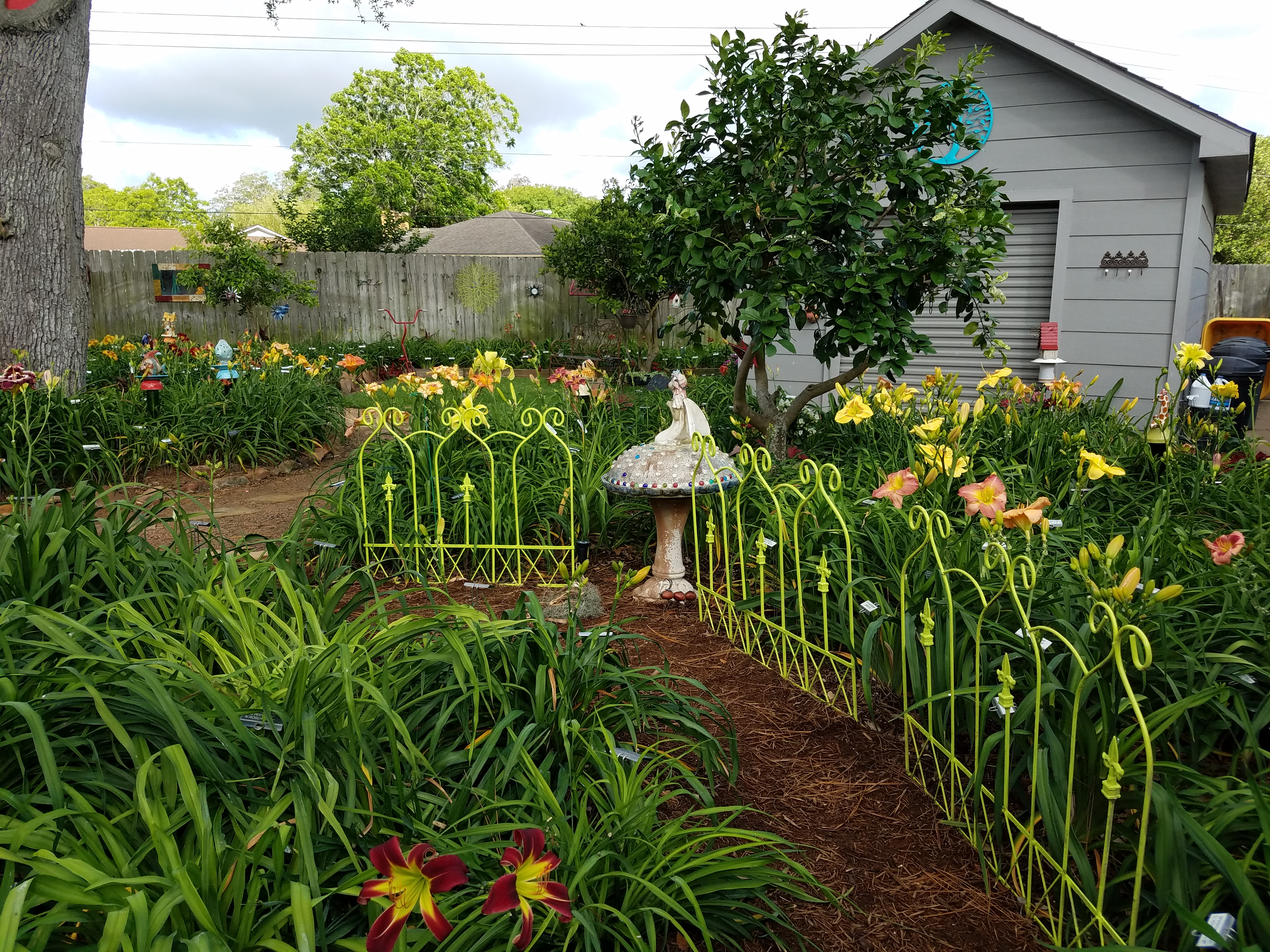 Fairy Bed