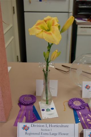 LSDS - 2009 Flower Show - Extra Large Winner - Big Doc - Leon and Paula Payne