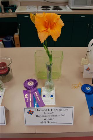 LSDS - 2009 Flower Show - Popularity Poll Winner - Orange Velvet - Mildred and Paul Eskine